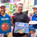 dazzle 9