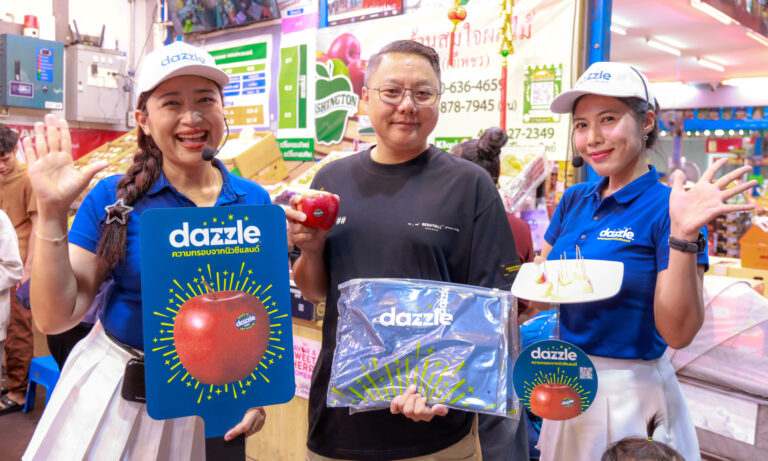 dazzle 9